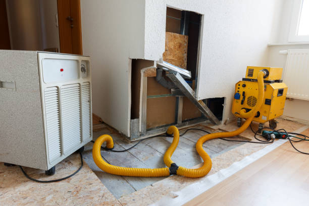 Best Mold Prevention Services  in Davenport, FL
